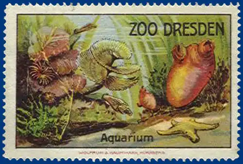alte Vignette Zoo Dresden, Aquarium #S372