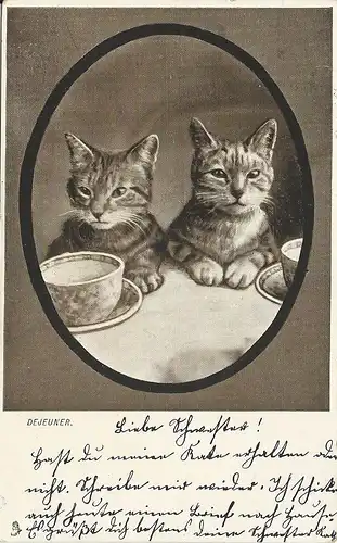 Dejeuner, Katzen m. Teetassen, 1904 gebr. Tier AK