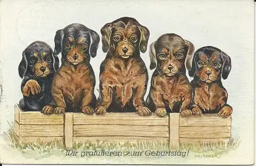 5 Hunde in Kiste, 1929 gebr. Glückwunsch Tier AK