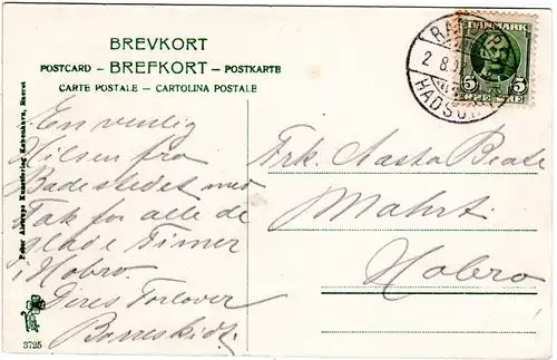 Dänemark, Visborggaard, 1907 m. Bahnpost RANDERS-HADSUND gebr. sw-AK