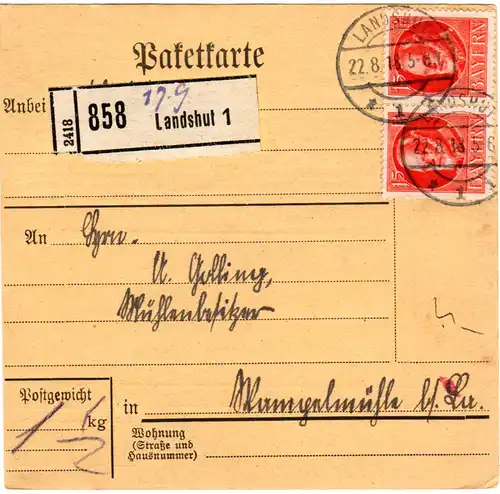 Bayern 1918, MeF Paar 15 Pf. auf Paketkarte v. Landshut n. Wampelmühle b. La.