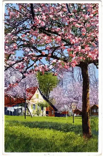 DR 1934, Landpost Stpl. SCHÖNBRONN über Nagold auf AK m. 6 Pf. 