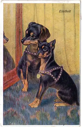 2 Dackel/Pinscher vor einem Spiegel, 1920 gebr. Hunde Farb-AK