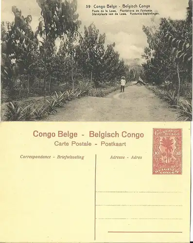 Belgisch Congo, ungebr. 10 C. Bild Ganzsache m. Abb. Kautschuk Plantage, Ochsen.