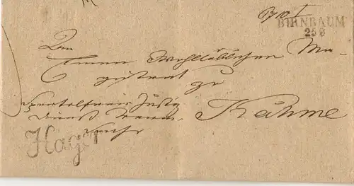Preussen 1841, L2 Birnbaum (Polen) u. Beamtenstempel auf  Dienst Brief. #897