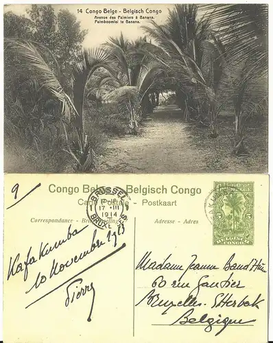 Belgisch Congo, 1914 gebr. 5 C. Bild Ganzsache m. Palmen
