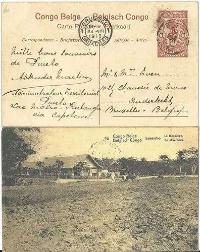 Belgisch Congo 1913, gebr. 10 C. Bild Ganzsache m. Bauer beim Pflügen, Ackerbau