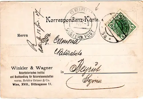 Österreich 1907, 5 H. auf Karte v. Wien n. Beirut, Syrien, Österr. Levante