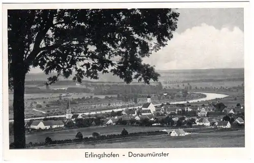 Erlingshofen-Donaumünster, ungebr. sw-AK aus dem LKr. Donauwörth.