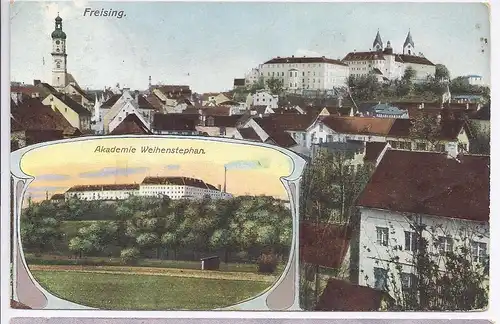Freising, Farb- AK m. Akademie Weihenstephan.  #546