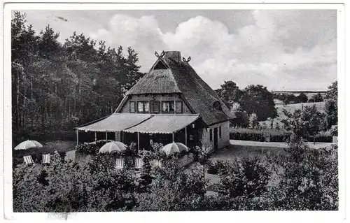 Restaurant Waldhaus Gudow i. Lbg., 1951 gebr. sw-Mehrbild-AK.