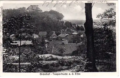 DR 1938, Landpost Stpl. GRÜNHOF-TESPERHUDE über Lauenburg auf sw-AK m. 6 Pf.