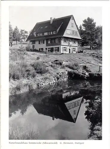 Naturfreundehaus Sommerecke (Schwarzwald), ungebr. sw-AK