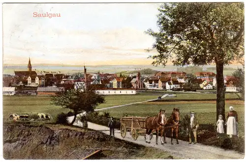 Saulgau, Gesamtansicht m. Pferdegespann, 1907 gebr. Farb-AK
