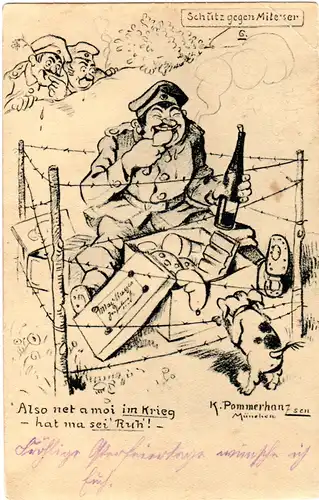 Bayern 1917, Feldpostkarte m. aptiertem Stpl. u. rs. Abb. Schutz gg. Mitesser