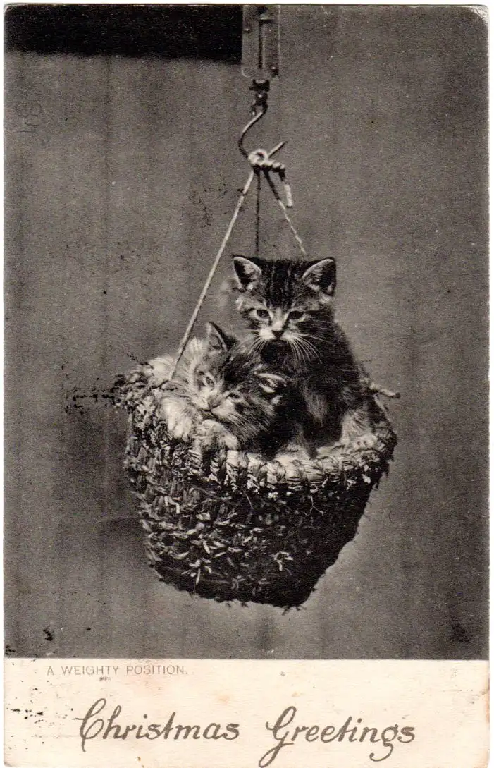 GB 1903, 1d auf Karte v. Cardiff m. Schweiz 10+20 C. Portomarken v. Chène-Bourg