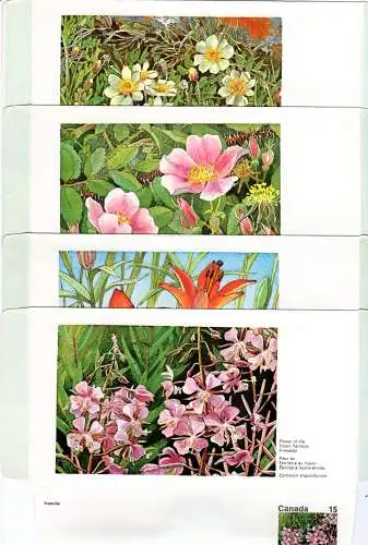 Kanada, kpl. Serie v. 12 ungebr. Blumen Aerogrammen (46-57, Postage/Postes)