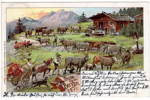 Allgäu, Gruß aus den Bergen m. Almauftrief, 1907 ab Hindelang gebr. Litho-AK.