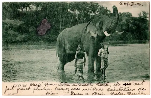 DP China 1906, 2 C./5 Pf. auf Karte v. Tientsin a m. Militär Briefstempel