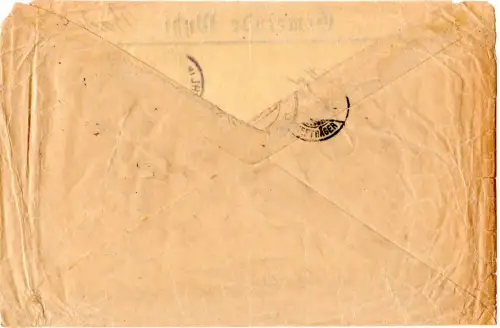 DR 1915, 10+20 Pf. als selt. Grenzrayon-Frankatur auf Brief v. Wyhl i.d. Schweiz