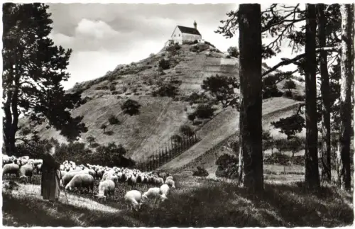 BRD 1957, Landpost Stpl. 14b WURMLINGEN über Rottenburg auf sw-AK m. 10 Pf. 