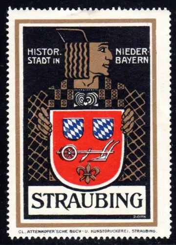 Straubing, Histor. Stadt in Niederbayern, schöne Vignette m. Originalgummi