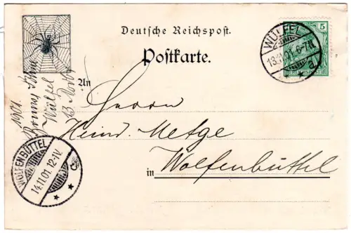DR 1901, Abb. Spinne im Netz auf Firmenkarte m. 5 Pf. Germania v. Wülfel