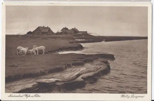 Wyk auf Föhr, Hallig Langeness, gebr. sw AK. #2213