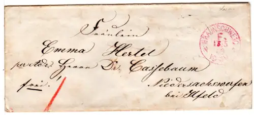 NDP 1869, violetter Franco-Stpl. Braunschweig F. auf Brief n. Niedersachswerfen