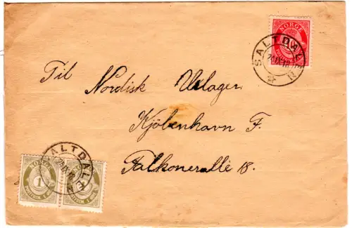 Norwegen 1918, 10+2x1 öre auf portorichtigem Brief v. Saltdalen n. Dänemark