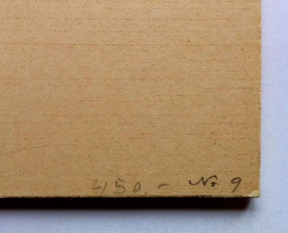 Winter an der Isar bei Waldram / Wolfratshausen. 5