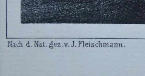 Hirschberg, Gesamtansicht, Julius Fleischmann, Dresden, 1848