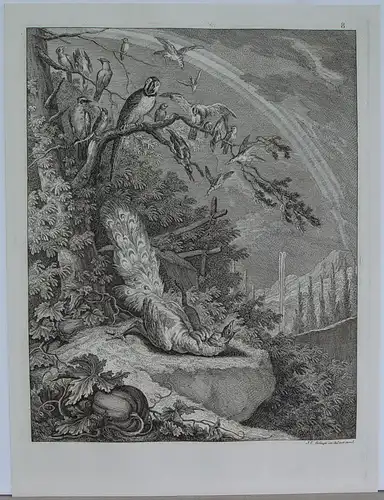 Johann Elias Ridinger (1698 Ulm - 1767 Augsburg)