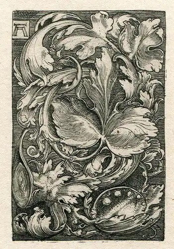 Heliograbado De Amand Durand Kopie De Dürer, Altdorfer