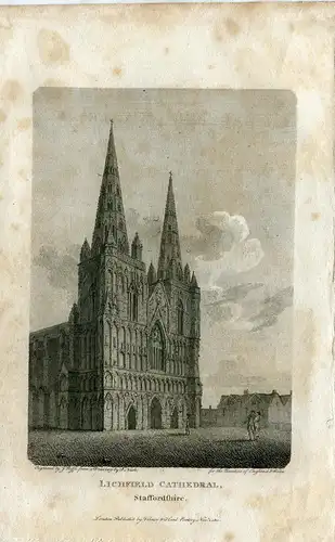 Lichfield Cathedral Gravierkunst Bei J. Roffe De Ein Muster De F. Nash