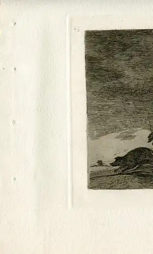 Esto Auch Gravierkunst De Goya Nr 45 von Der Erste Ausgabe Die Katastrophen IN 1