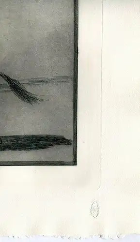 Gravierkunst Nr 24 von Der Stierkampf De Goya. Elbe Ceballos Montiert Auf Andere