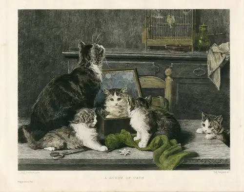 « Auf Study Of Cats » Gravierkunst Bei Eug. Gaujean Baustelle De Lamberts