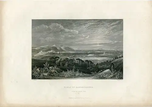 Field Of Bannockburn Gravierkunst Bei W.Richardson De Ein Muster De D. O. Hill