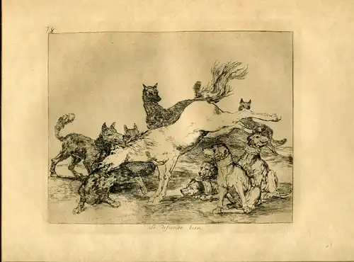 Francisco De Goya ‘ Se Verteidigt Gut ’Gravierkunst Original Nr 78 De Die