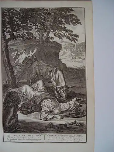 The Man Of God Slain By Auf Lion für His Disobedience. Gravierkunst Bíblico Ovp