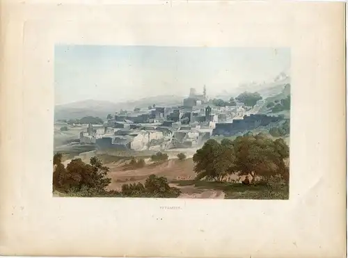 Palestina. Bethanien. Gravierkunst Coloriert Auf Hand. Herausgegeben IN 1861