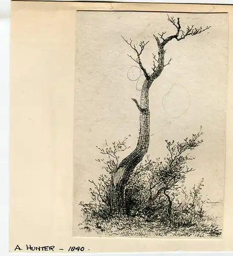 A.Hunter.arbustos, Gravierkunst Von Jh.