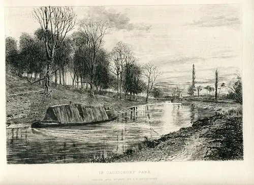 «IN Cassiobury Park » Gezeichnete Und Gravierkunst Bei J.P.Heseltine IN 1881
