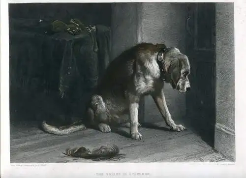 «The Friend IN Thriller » Gravierkunst Bei C.Lewis Auf Werk De Edwin Landseer