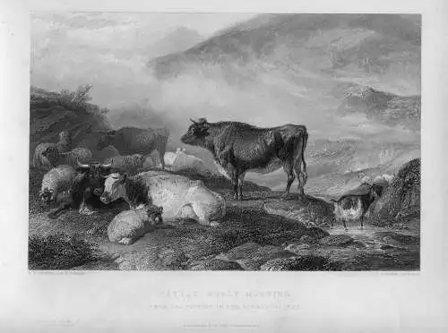 « Cattle Early Morning » Gravierkunst Bei John Cousern Auf Werk De T.S.Cooper
