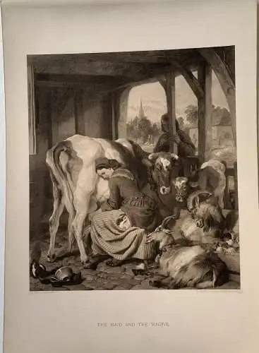 The Maid And The Elster Fotogravur Bei W.B.Jobson auf Einem Muster De E Landseer