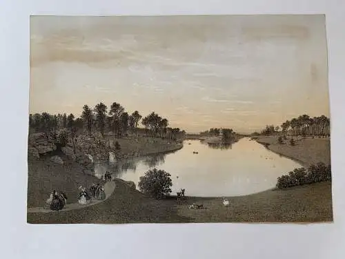Wald De Boulogne, Paris. Lithographie Bei E.Ciceri Und Guerard, 1860