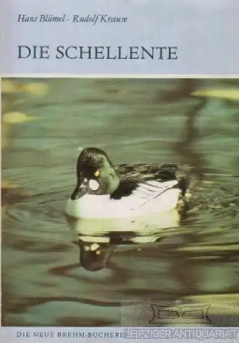 Buch: Die Schellente, Blümel, Hans / Krause, Rudolf. Die Brehm-Bücherei, 1990