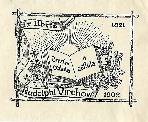 Original Kupferstich Exlibris: Rudolphi Virchow. Omnis cellula a cellula, gut